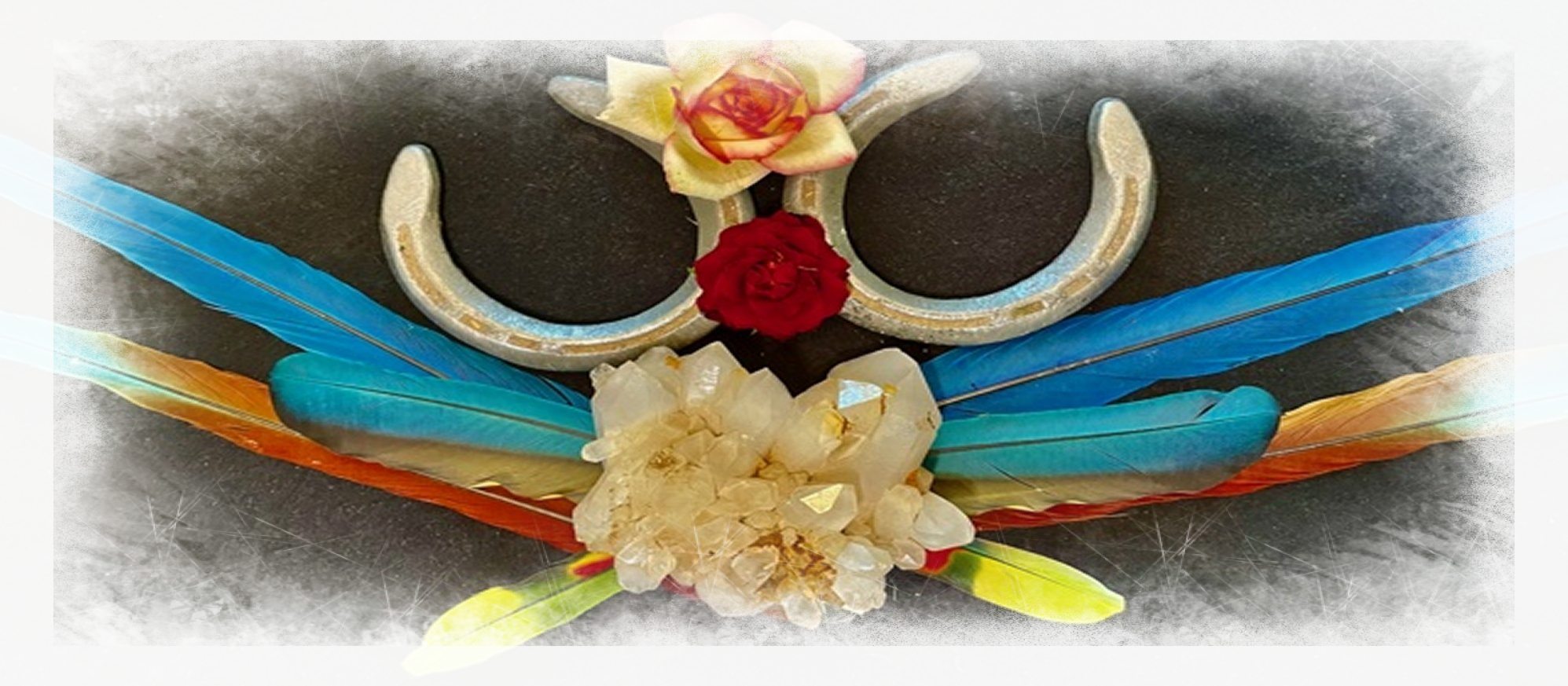 Sandra K Sullivan - Author