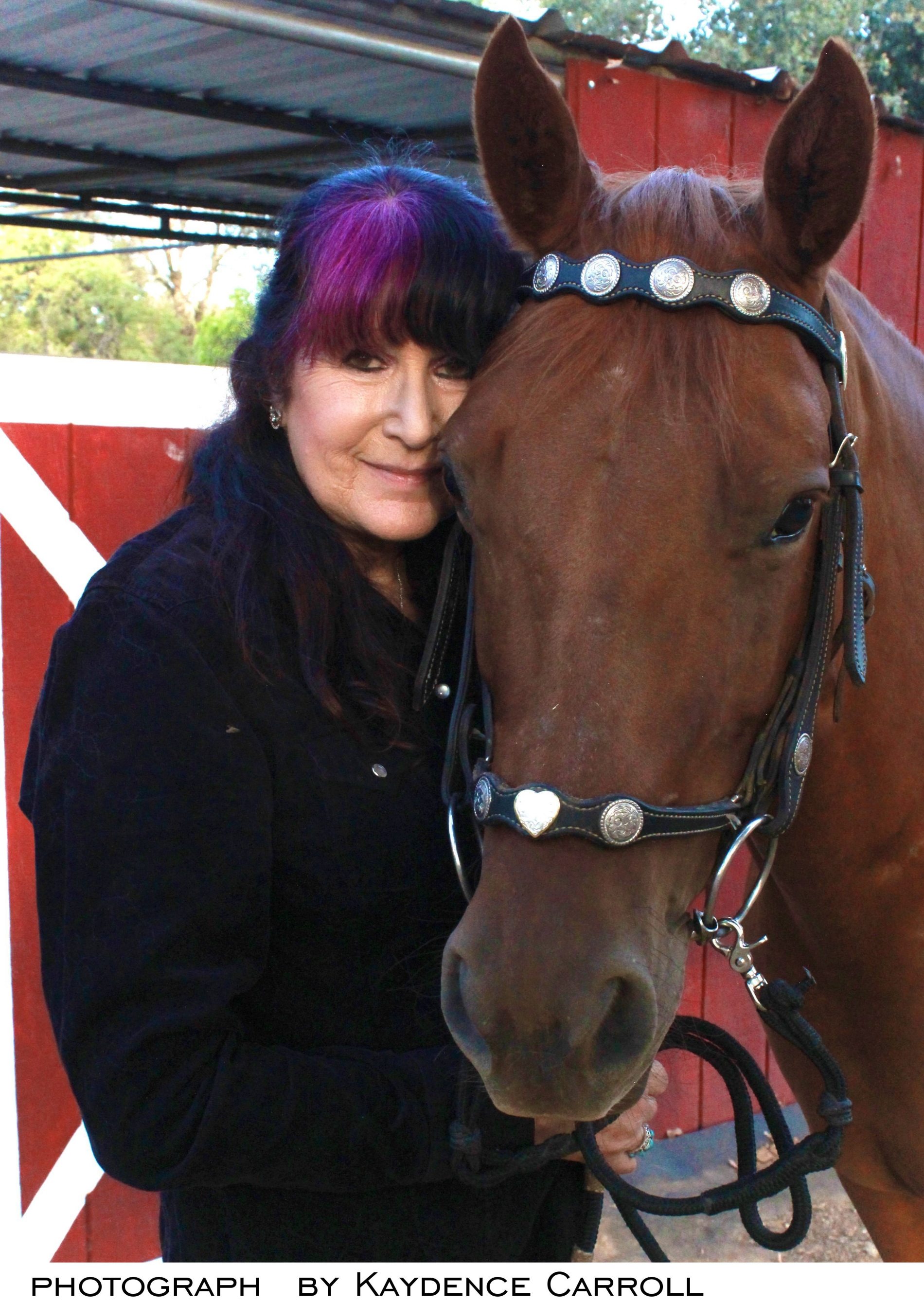 Sandra K Sullivan - Author