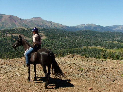 Sandra K Sullivan - Author